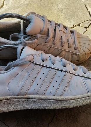 Кроссовки adidas superstar