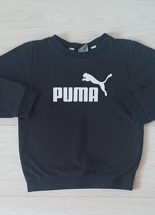 Свитшот   puma  adidas
