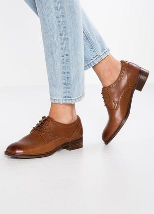 Туфлі clarks
