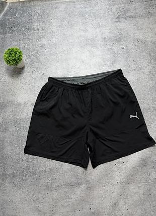 Чоловічі шорти puma shorts