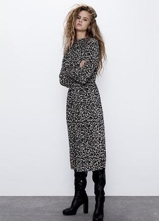 Сукня zara міді з леопардовим принтом розмір m
