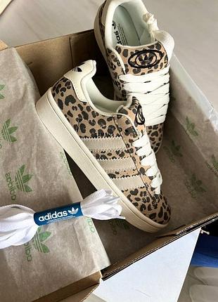 Кросівки adidas campus 00s leopard