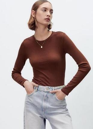 Коричневый хлопковый боди zara 
✨✨✨✨✨✨✨✨✨✨