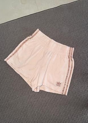 Спортивні шорти adidas базові натуральні бавовняні бавовна натуральные хлопковые хлопок  шорты спортивные