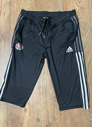 Adidas-шорти для тренування