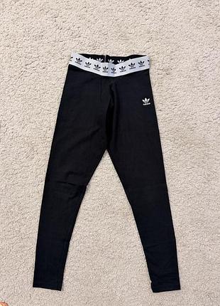 Лосини adidas оригінал