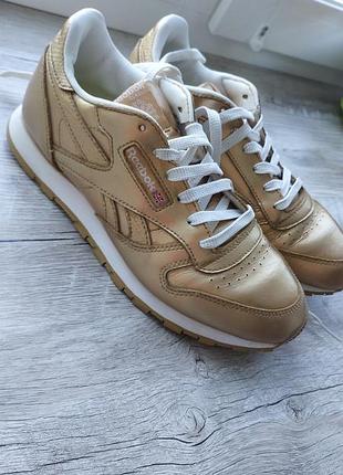 Шкіряні золоті кросівки reebok classic leather metallic gold, р. 37 / 24 см