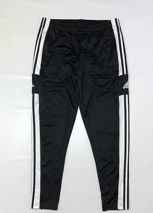 Спортивні штани adidas (primegreen)