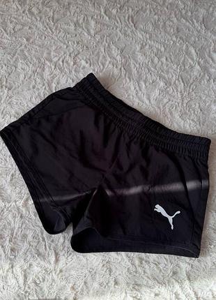 Шорти для спорту puma