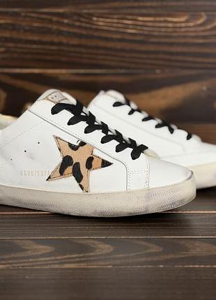 Golden goose deluxe brand superstar sneakers with leopard print оригінальні кросівки