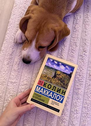 Поющие в терновнике