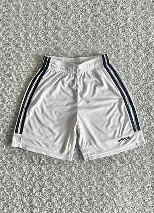 Спортивні шорти adidas
