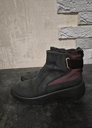 Ecco  черевики