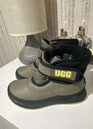 Черевики ugg на хлопчика