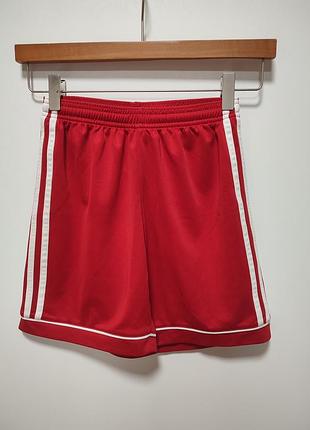 Спортивные шорты adidas