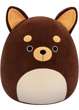 М'яка іграшка чихуахуа баркевіна squishmallows sqcr06740, 36 см