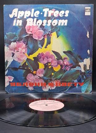 Виниловая пластинка сборник песен – яблоны в цвете – 1976