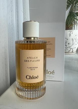 Chloetuberosa