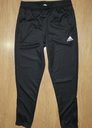Спортивные штаны adidas на 12-14 лет 158-164см.