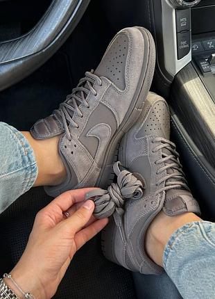 Nike sb dunk low premium