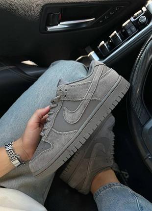 Nike sb dunk low premium 2