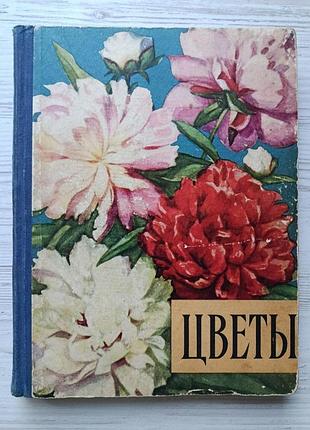 Д.ф.юхимчук. цветы 1959г