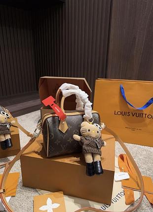 Louis vuitton nano speedy monogram canvas