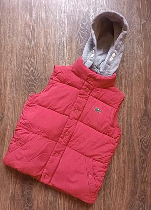 Жилетка lacoste