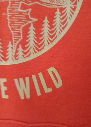 Худи into the wild 3