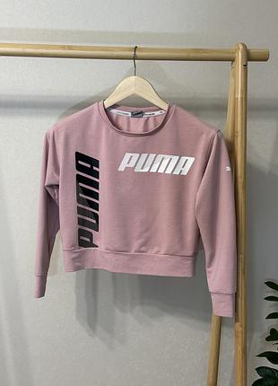 Світшот puma