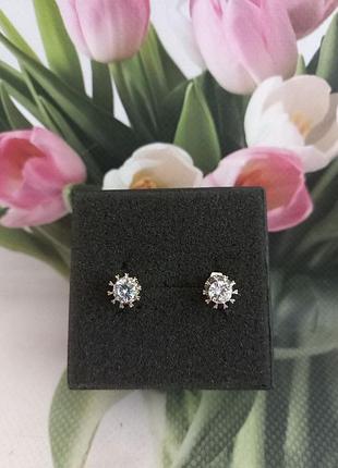 Сережки сережки