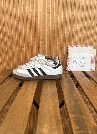 Кросівки adidas samba og