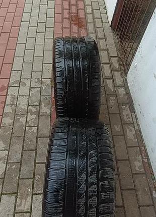 Шини автомобільні зимові