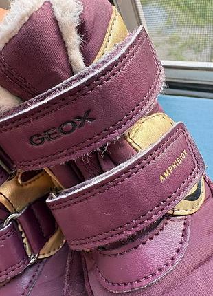 Чоботи geox 2