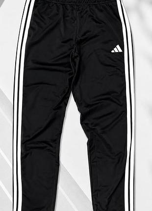 Чоловічі спортивні штани adidas