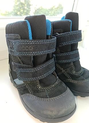 Сапоги ecco 23 размер