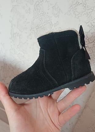 Ботинки ugg 25 р 15 см