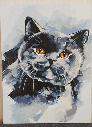 Картина для декора декора декоративная картина британский котик 40×30 см декор картины