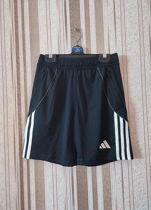 Спортивные шорты