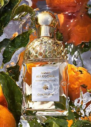 Guerlain aqua allegoria mandarine basilic