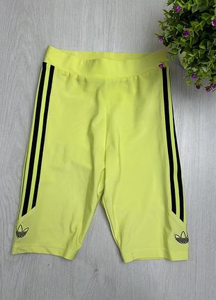 Вєлосіпєдки шорти adidas