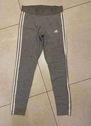 Лосіни adidas