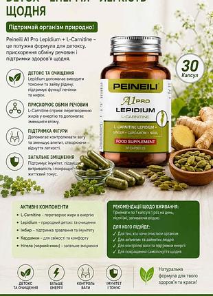 P e i n e i l i  p r o  l e p i d i u m + l c a r n i t i n ( комплекс ) .