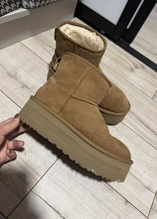 Зимові уги ugg оригінал