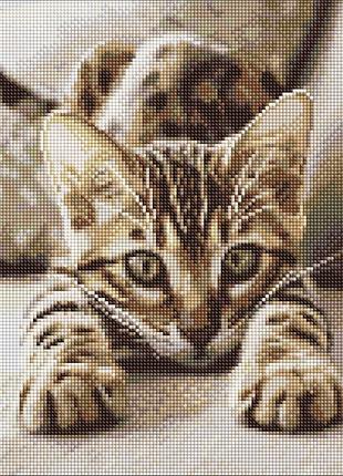 Алмазная мозаика "игривый котенок" ©art_selena_ua amo20280, 40х40 см