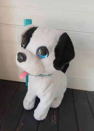 Интерактивная мягкая собачка club petz bowie your real kissing pup от imc toys собака песик