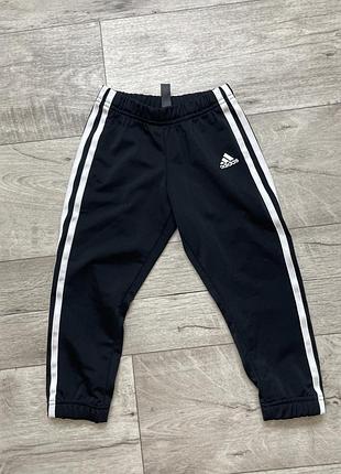 Штани adidas