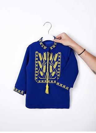 Сорочка вишиванка колоски синя для хлопчиків