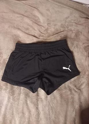 Спортивные шорты puma