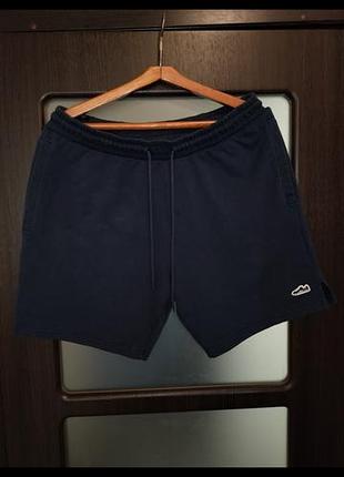 Шорты puma